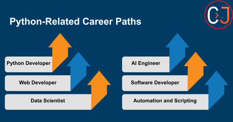 python career paths