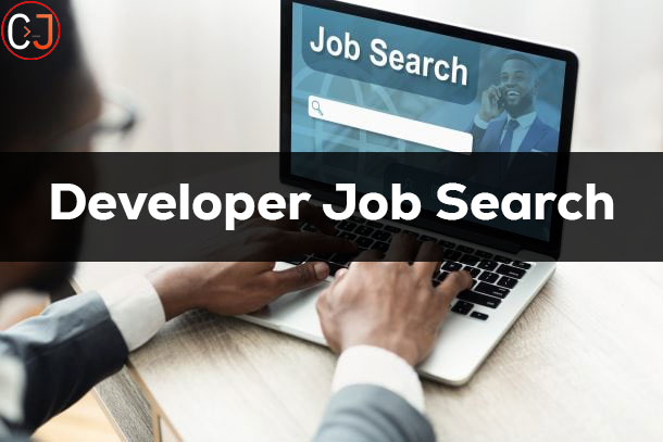 python developer job search
